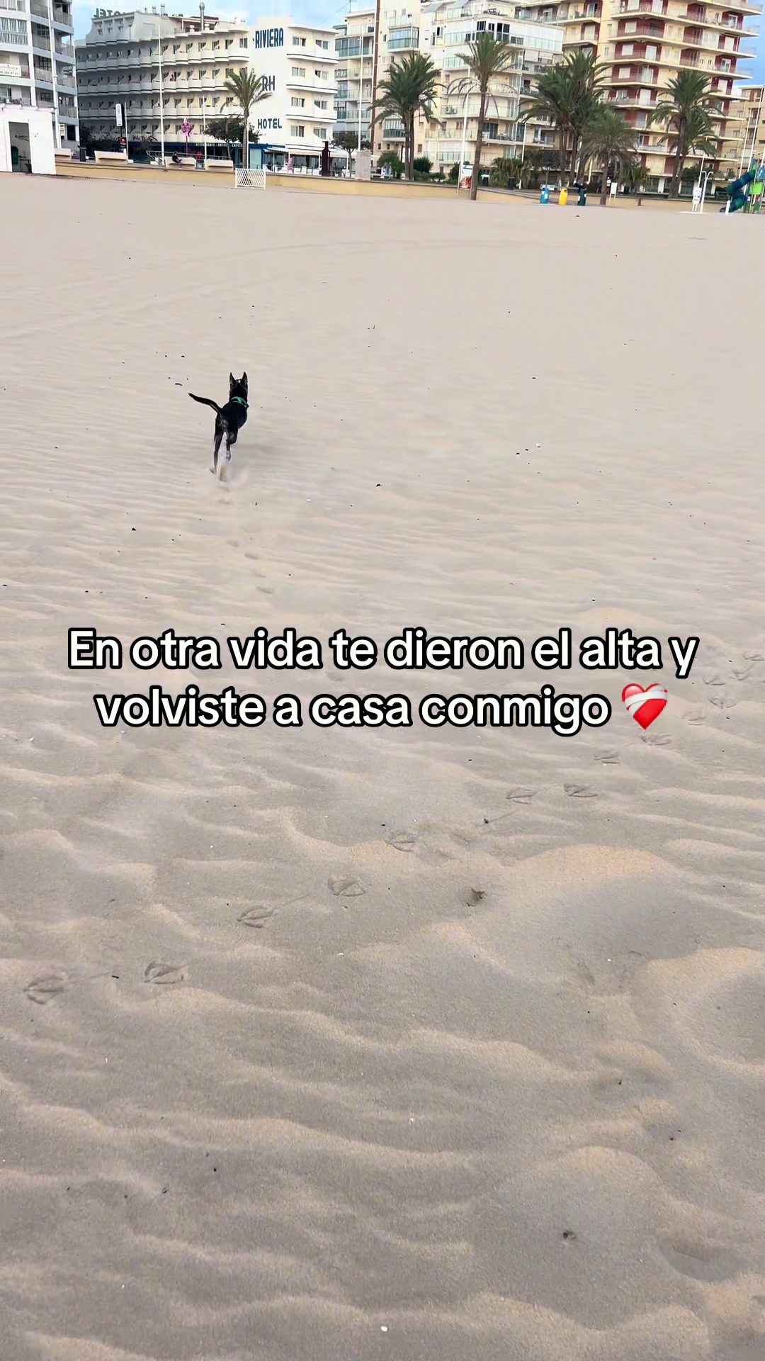 @Kiradc