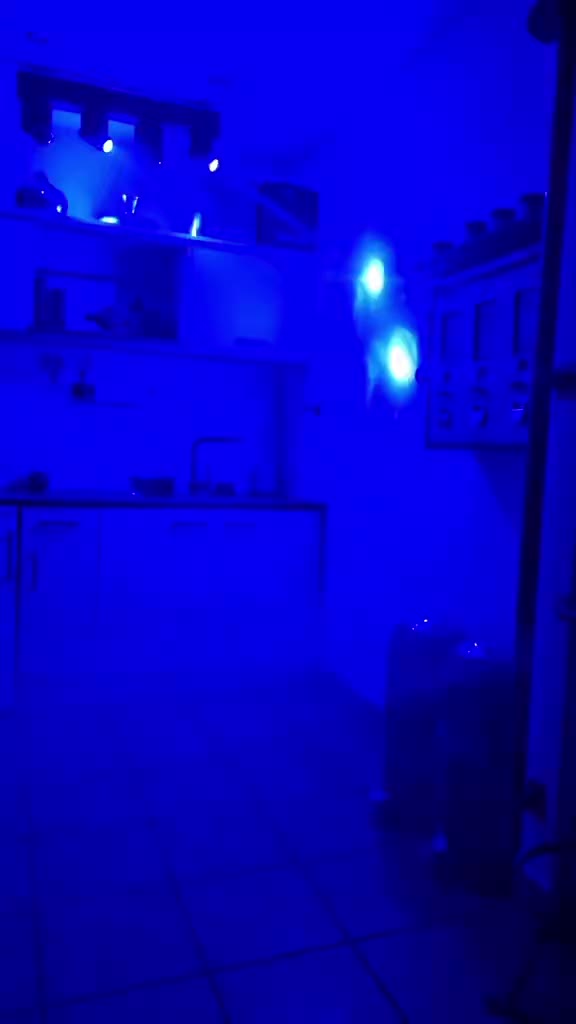 @Lena.ohhaaaajaa