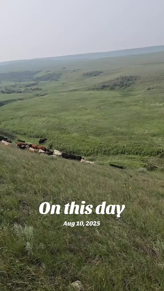 @NDRanchlife
