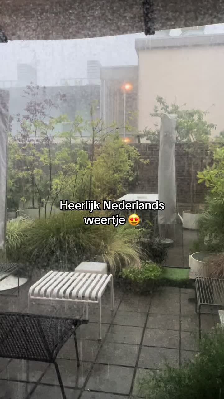 @Noelle
