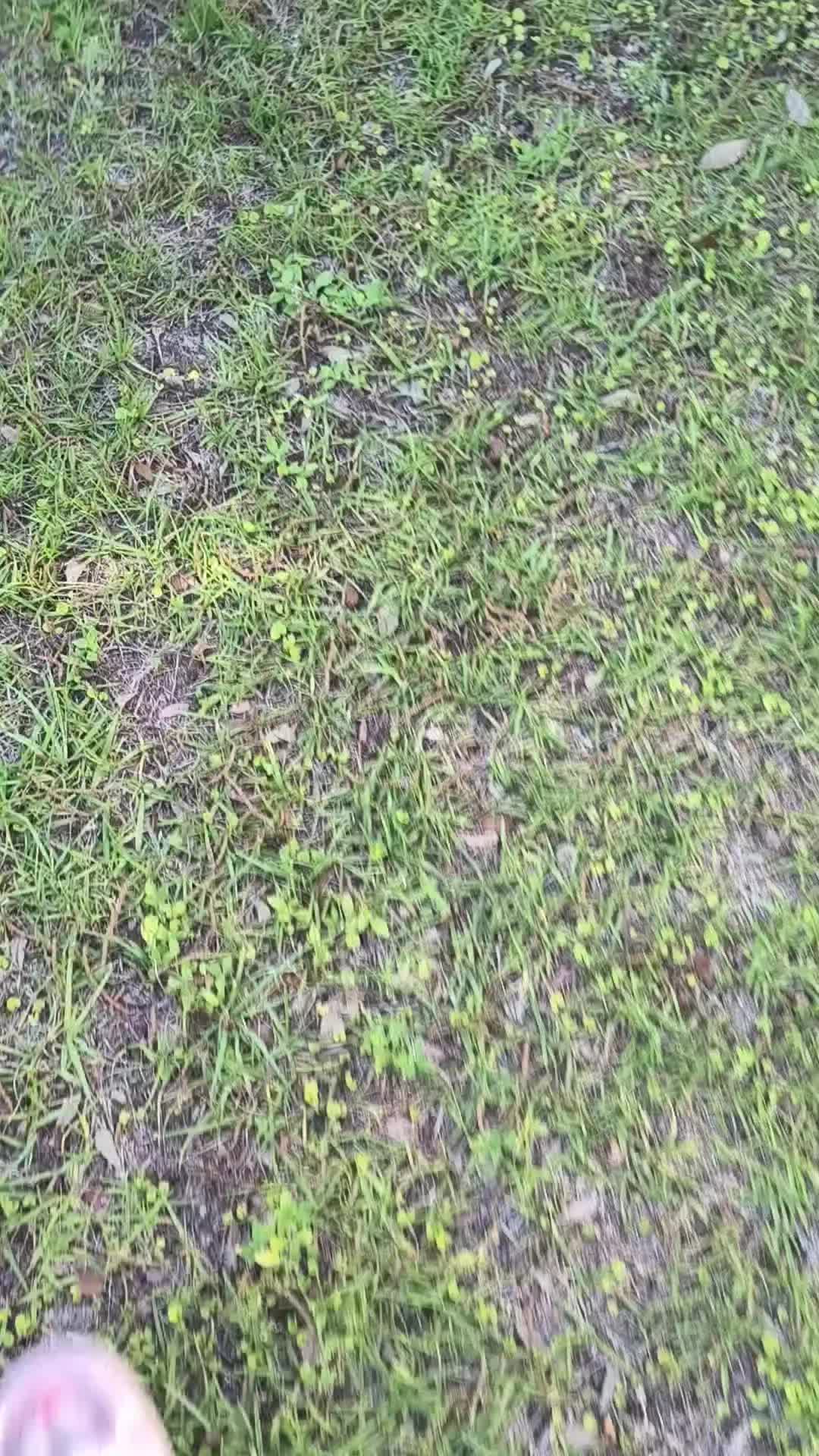 @TMAC❌️ tammymcconnell76