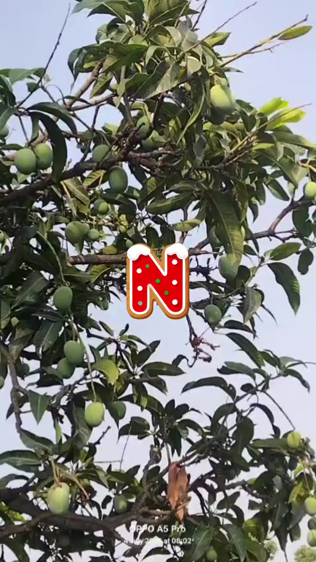@Kashmiri❤️❤️❤️❤️❤️
