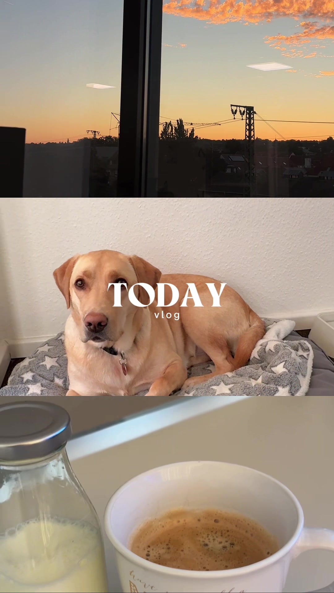 @Elisa | UGC • Dog • Lifestyle