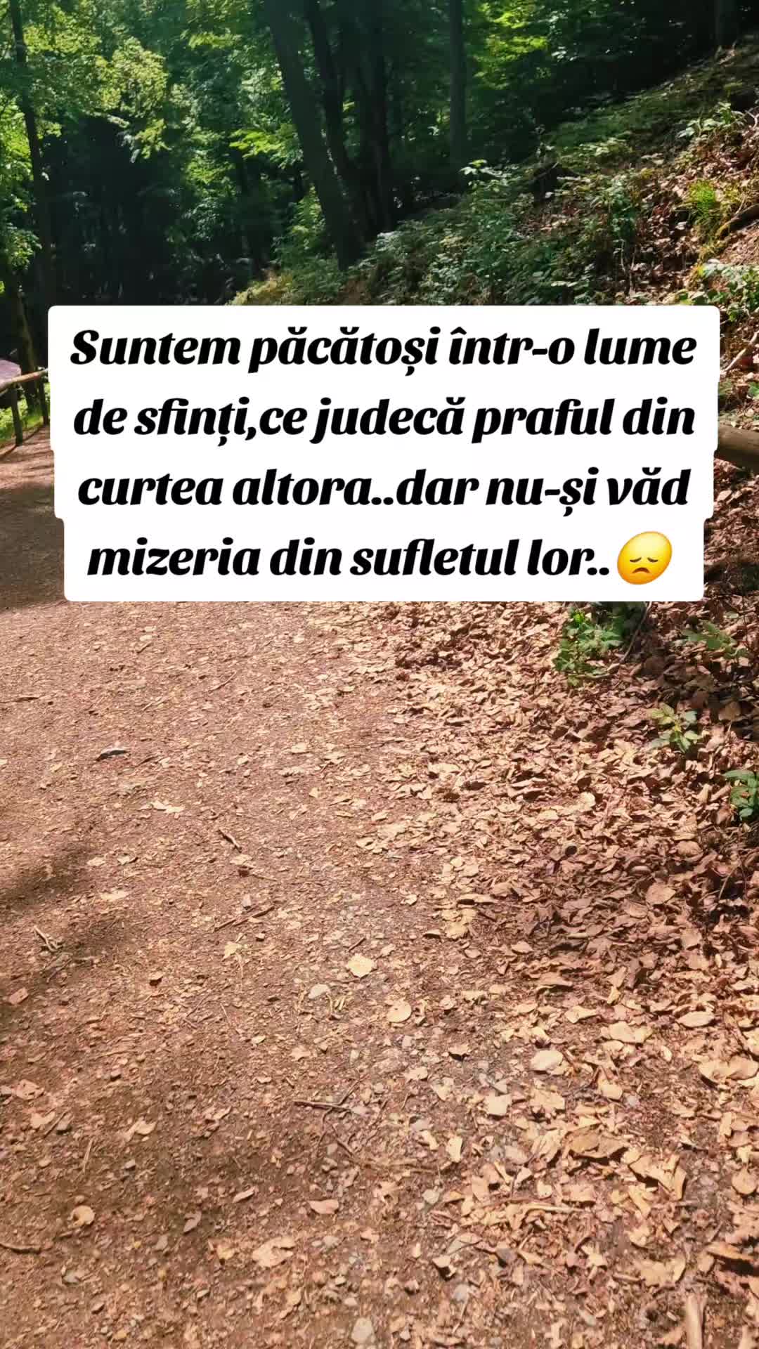 @Cristina Lautaru