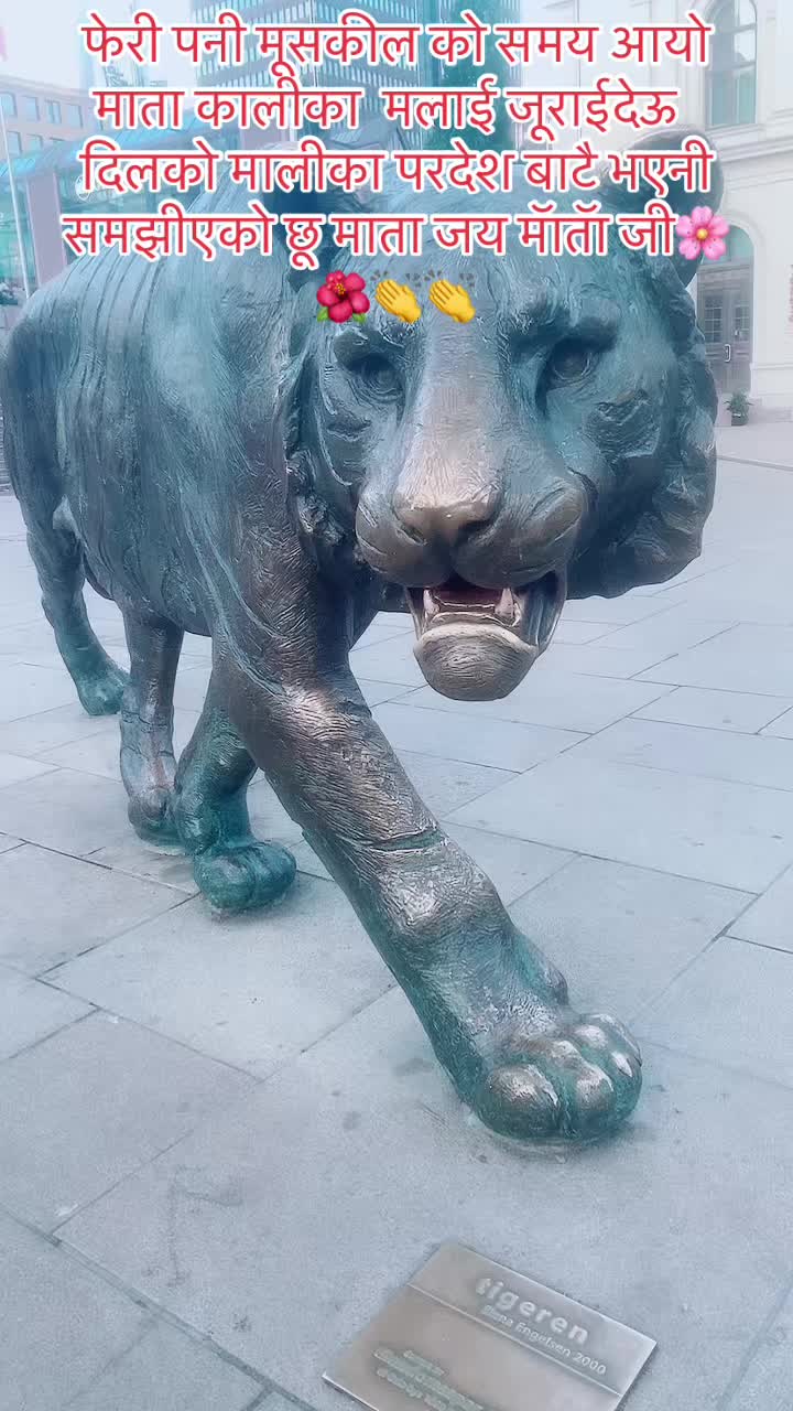 @Rajendra sharma 🇳🇵🇵🇹🇪🇺