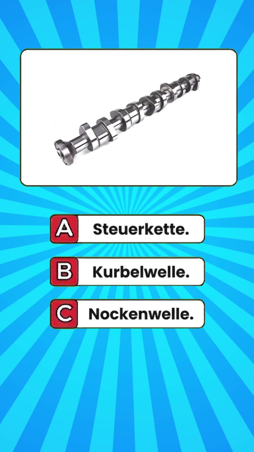 @DailyQuizMaster