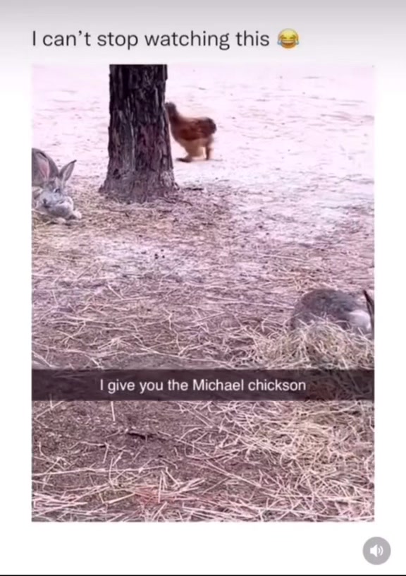 @ms.funnyy