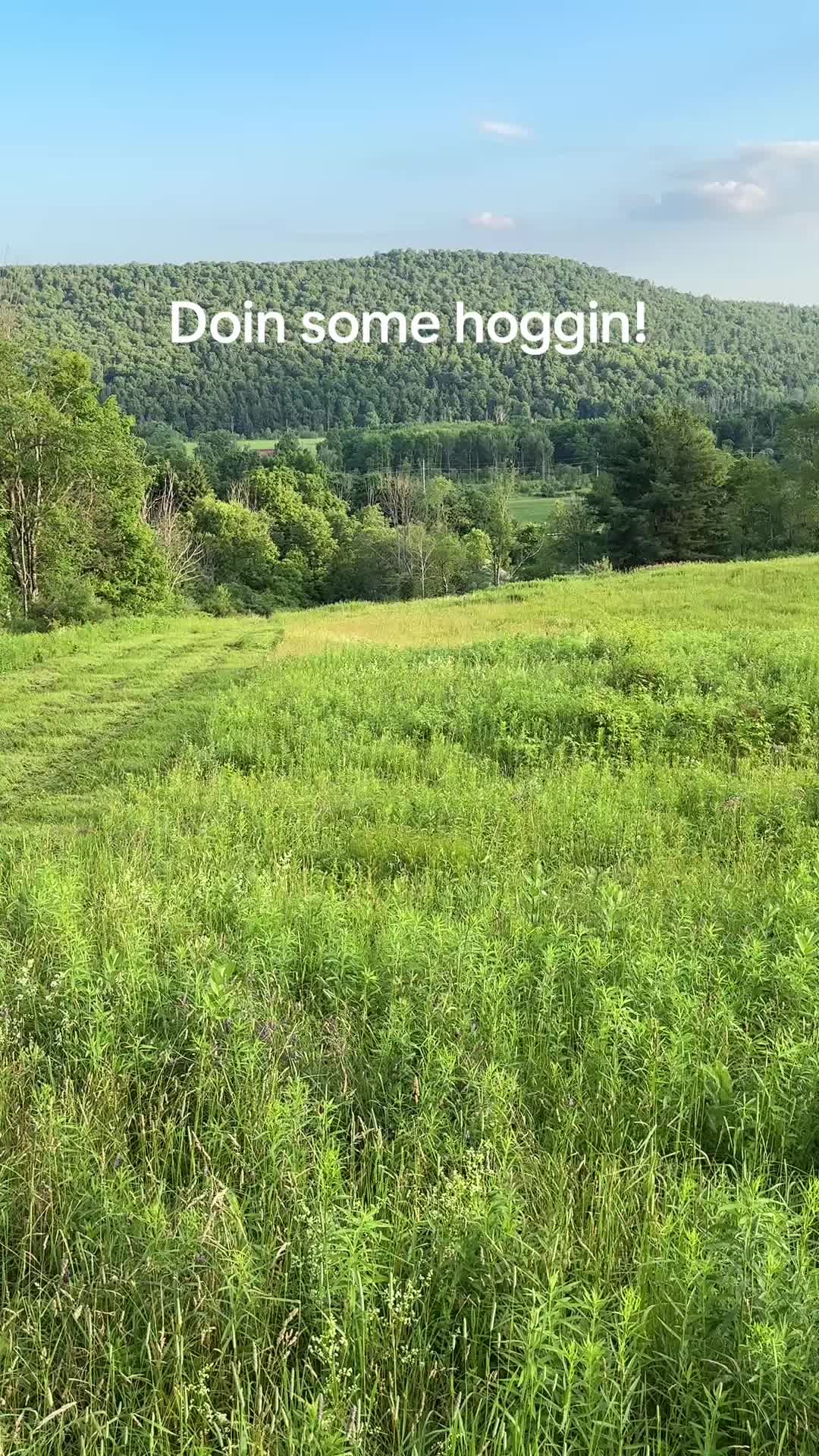 @Musclepartsbyrich