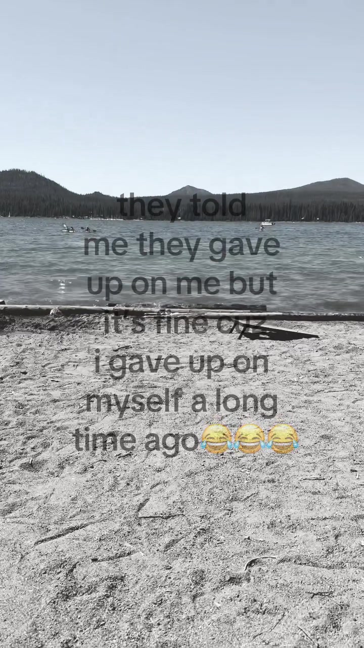 @ev731