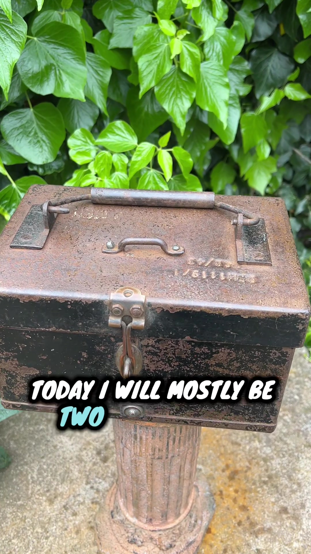 @Antique Curios