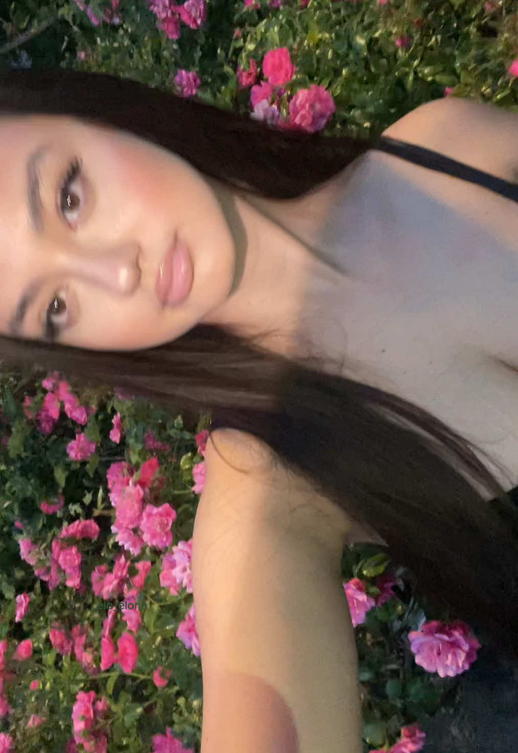 @elona845