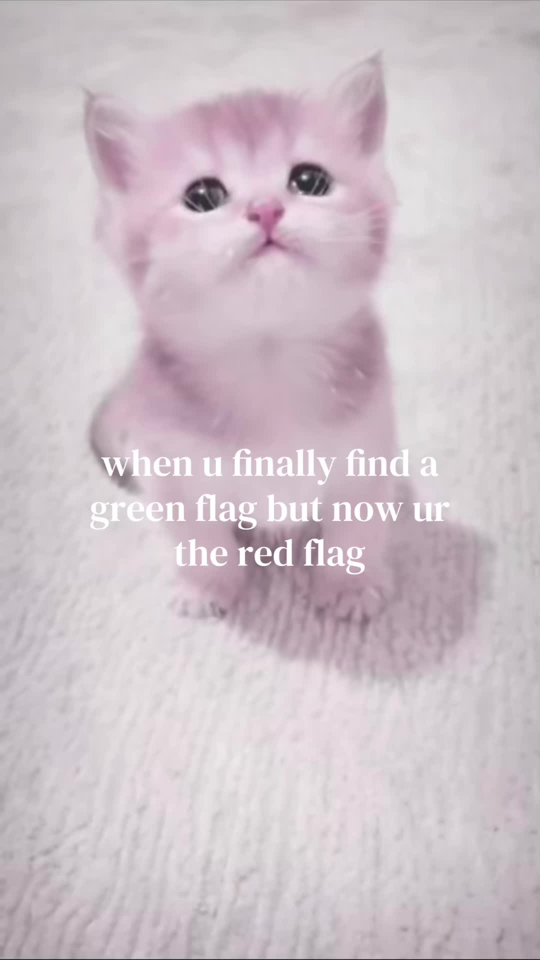 @𝓷𝔂𝓪