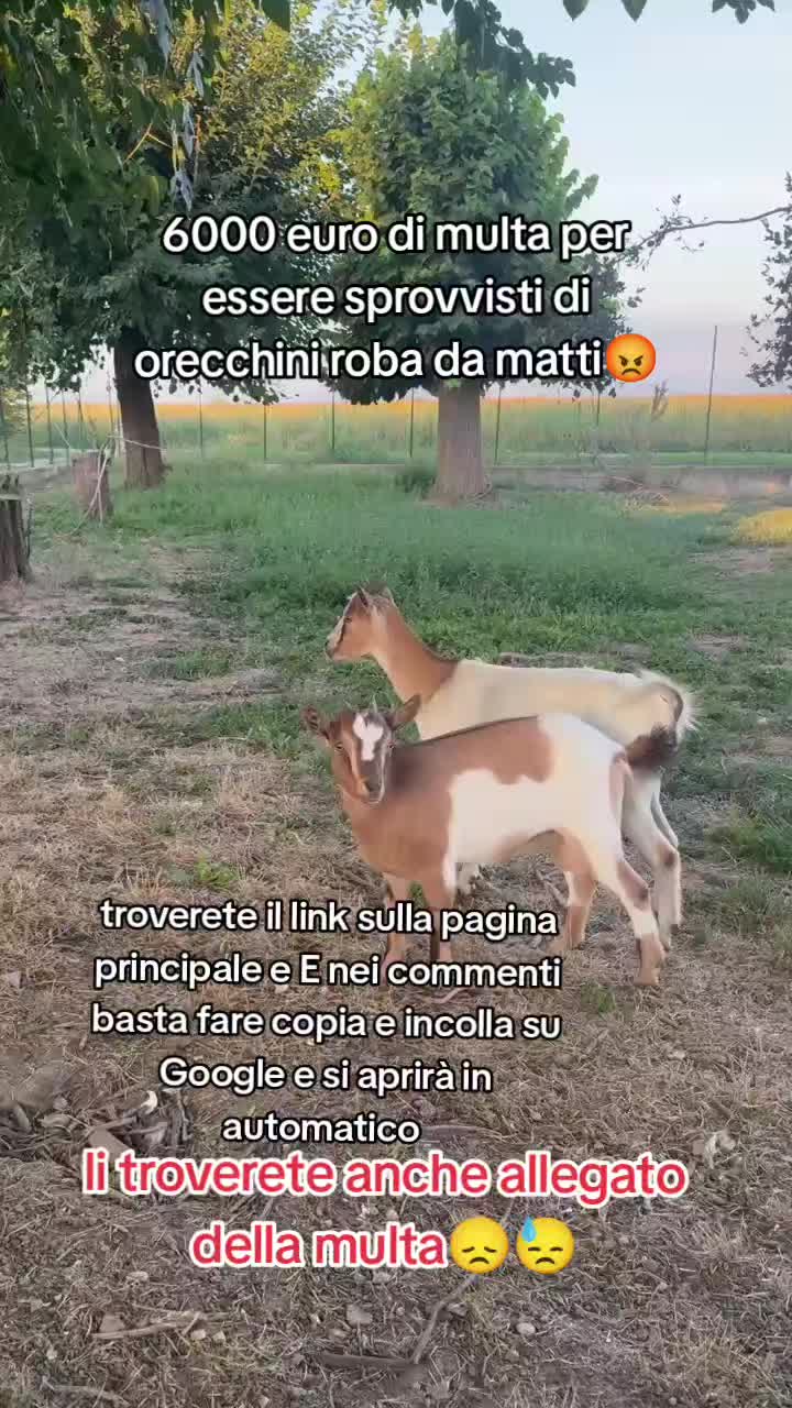 @KIRA❤️LEYLA💙