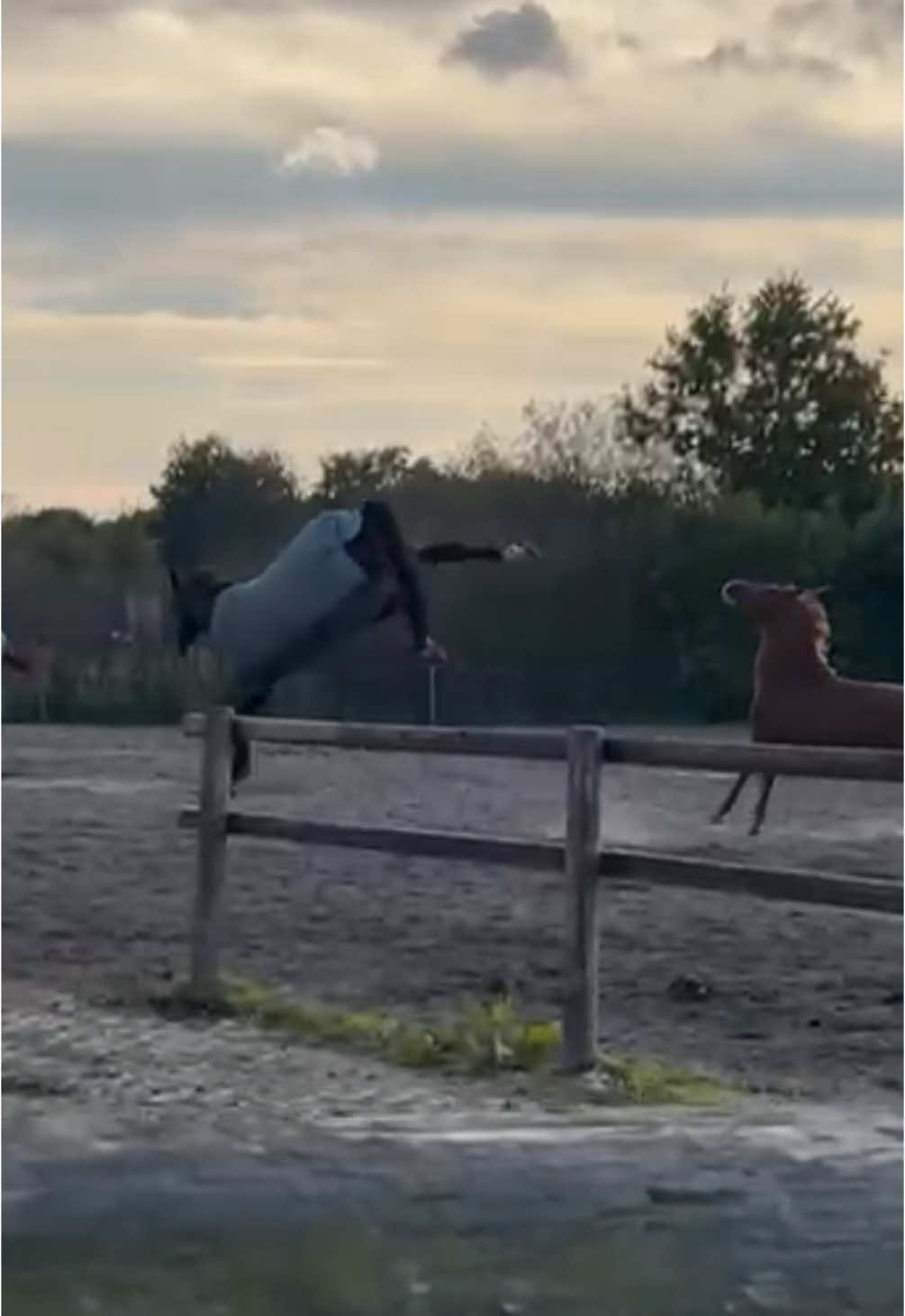 @Equestelli
