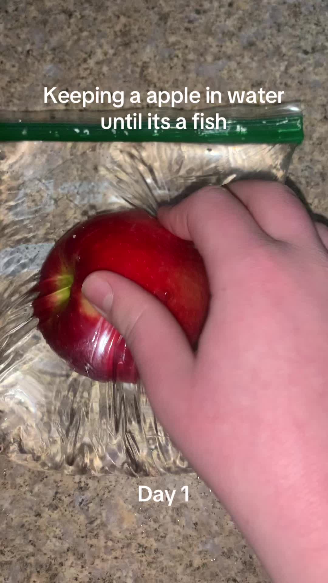 @ve0ck