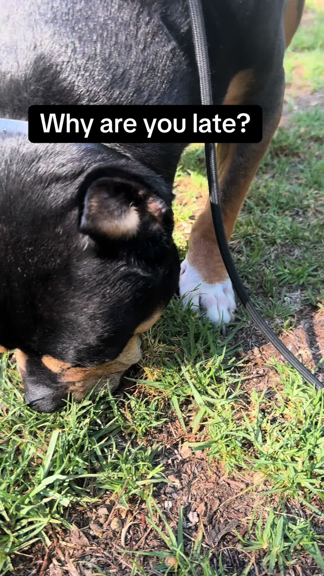 @Tater On TikTok