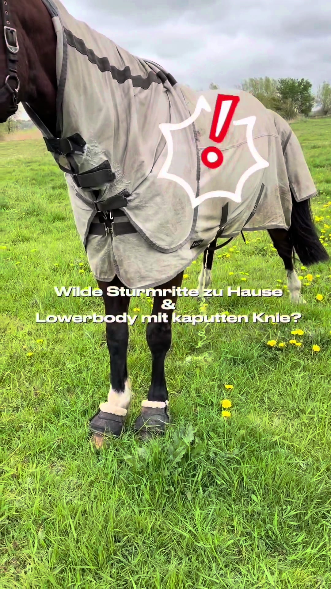 @blondsandbridles