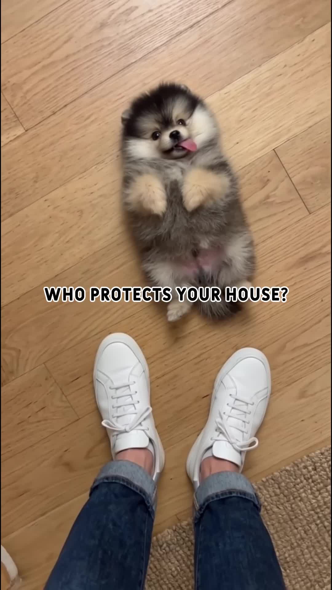 @middlepets
