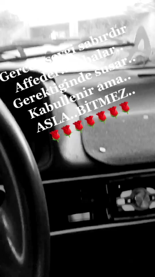@Mahmut