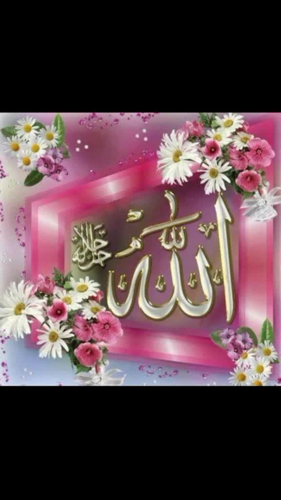 @skatif1137