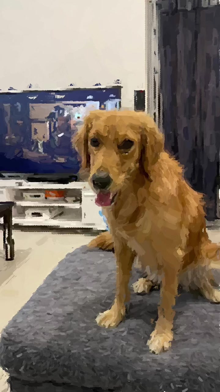 @Feel at HomePetCare