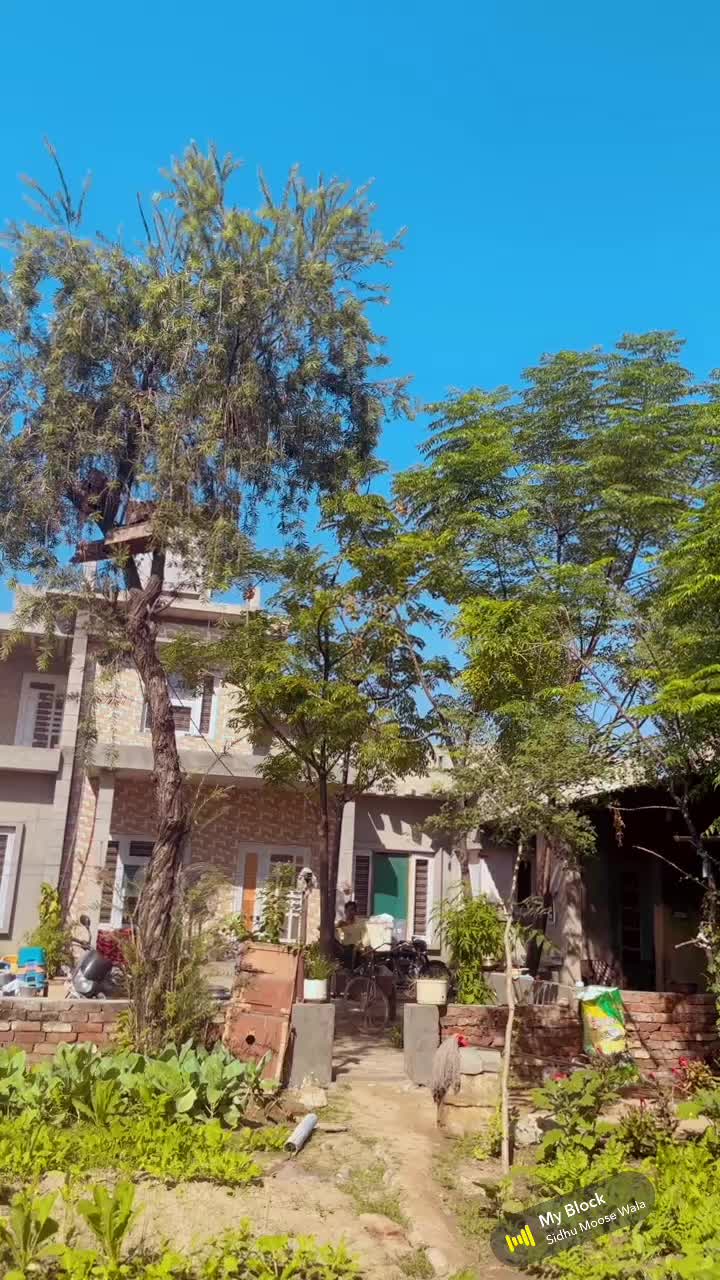 @kuljeet_singh11