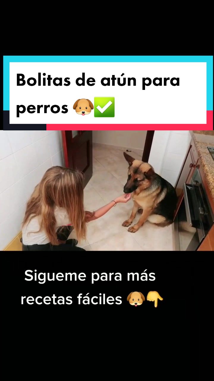 @delimascotas