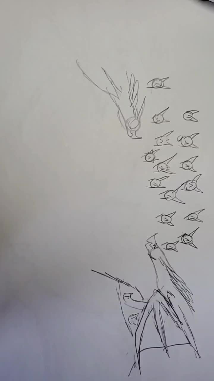 @Idk.what.this.is