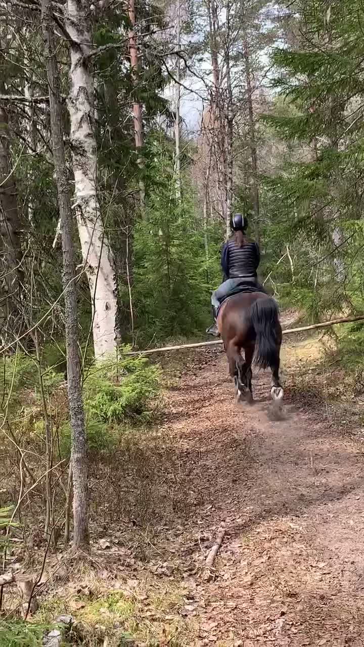 @𝐻𝒪𝑅𝒮𝐸𝐿𝐼𝐹𝐸💘