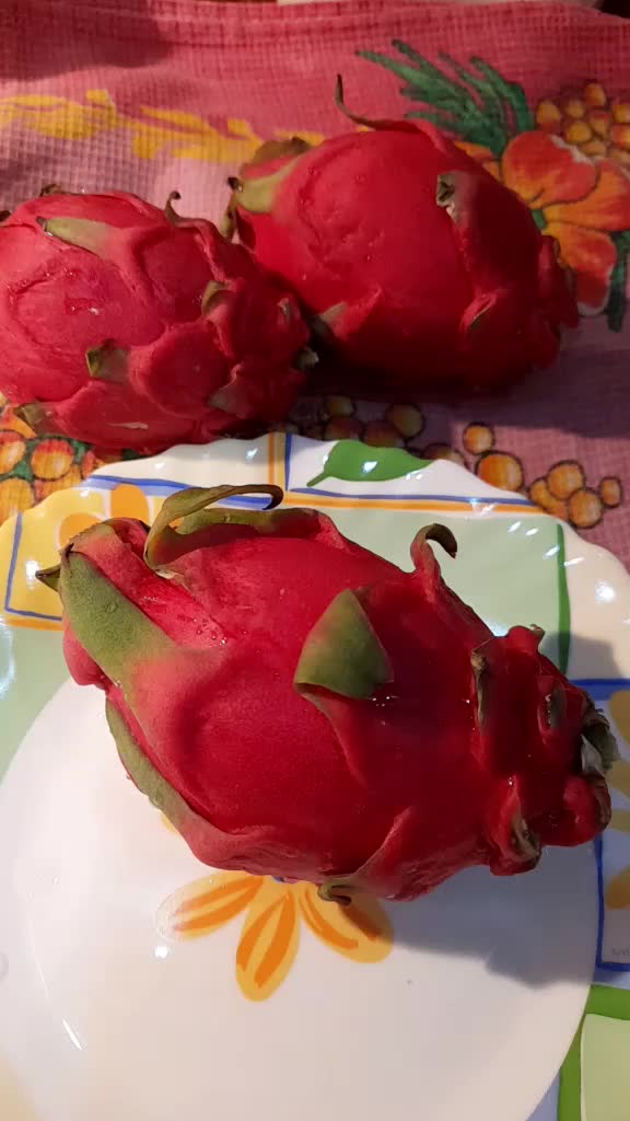 @Капкин Фёдор