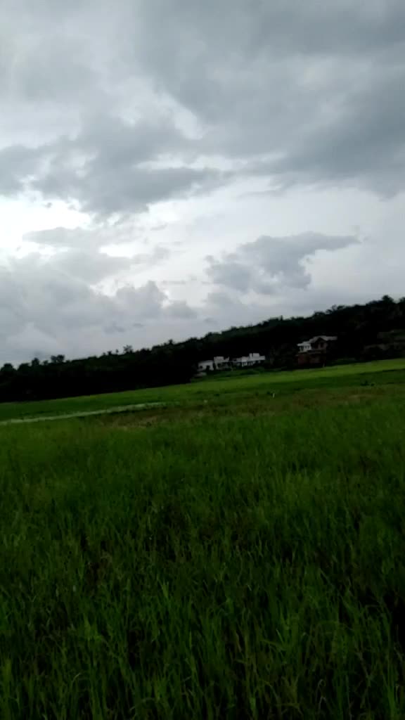 @G K Nilambur