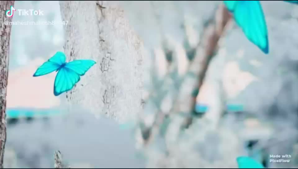 @Vallepu Raju
