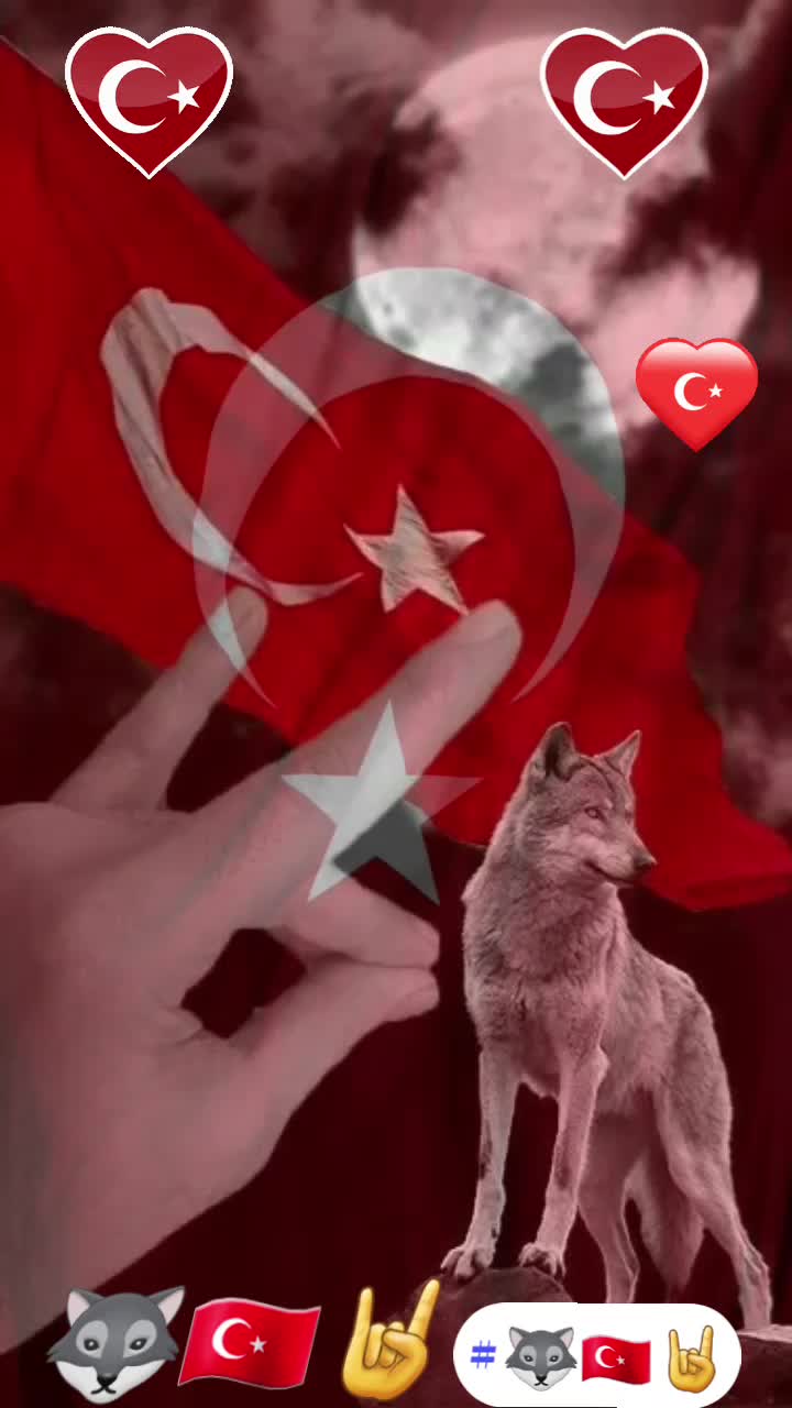 @🐺🇹🇷🤘BOZKURT ASENA🐺🇹🇷🤘