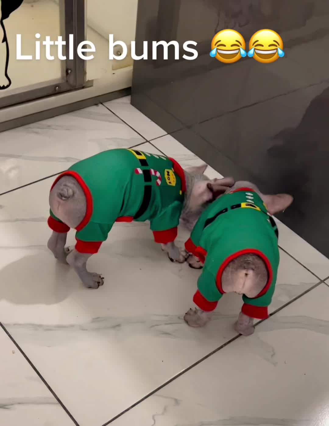 @Softskinpuppies