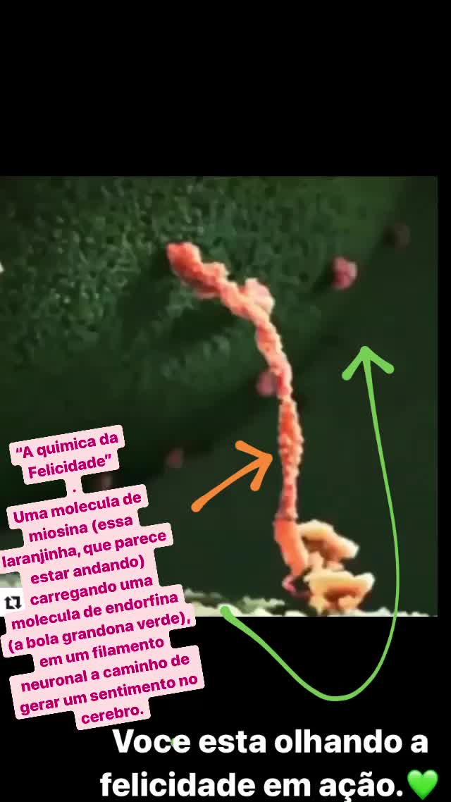@Mayara Camatari