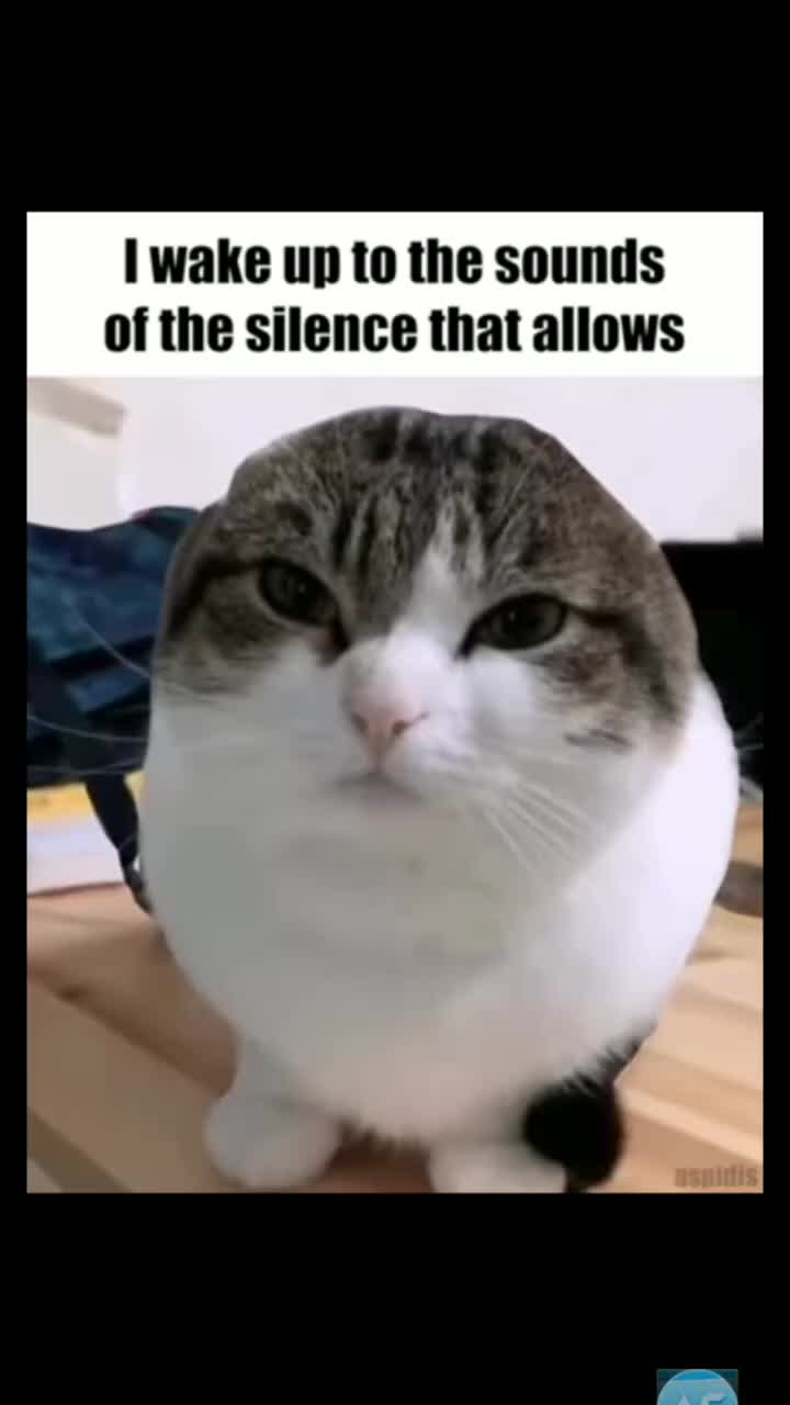 @fuc5 Jews