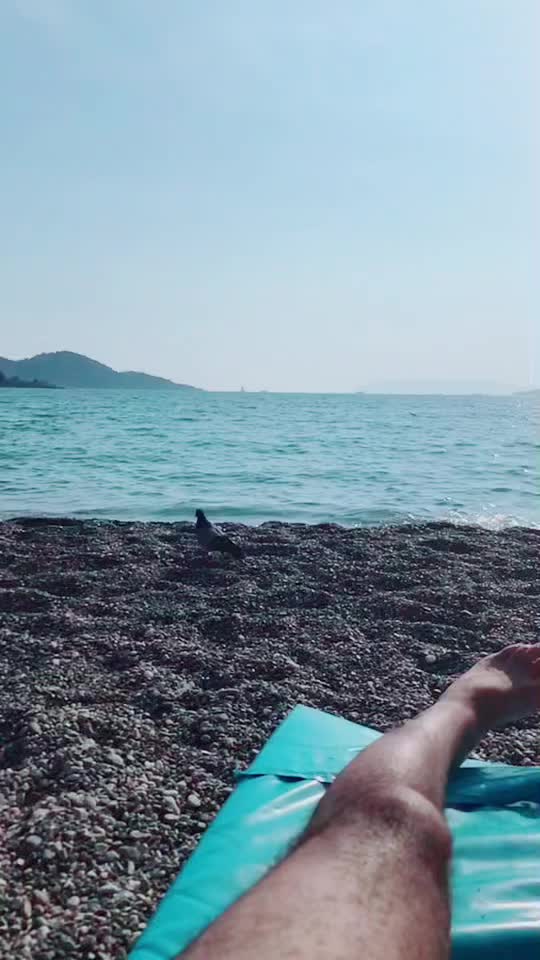 @Can