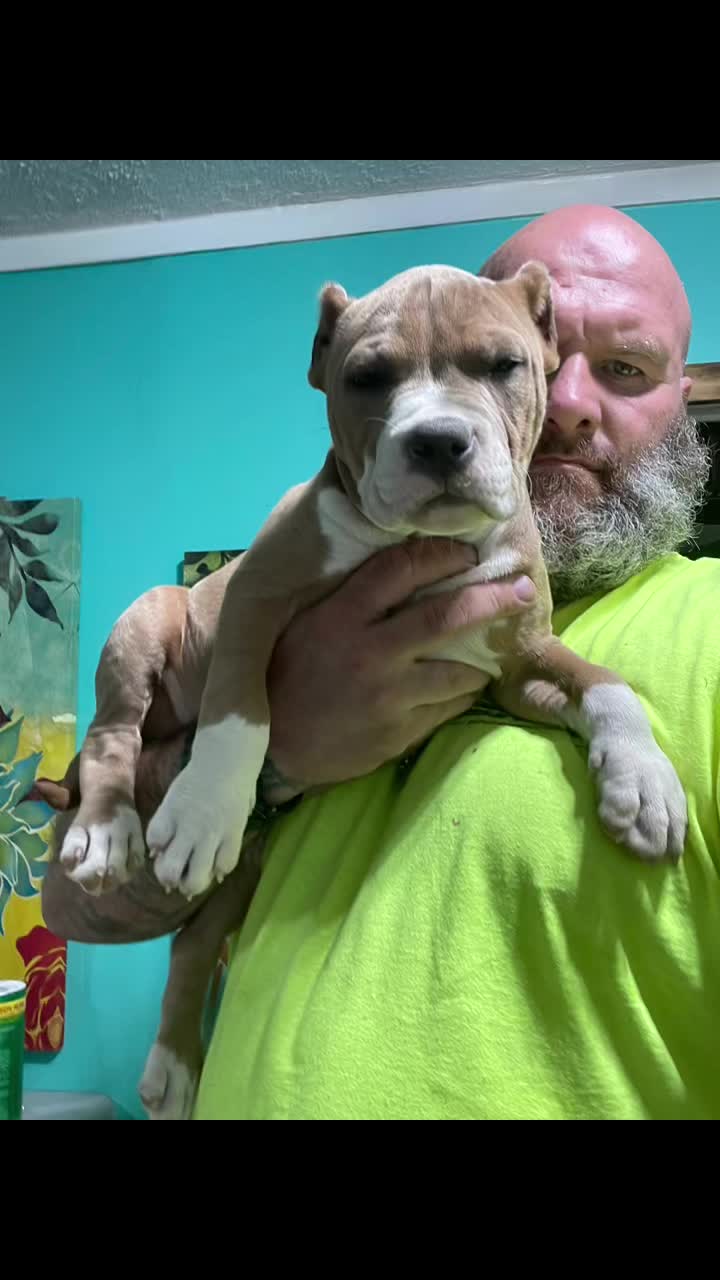 @smithbrothersbullies1
