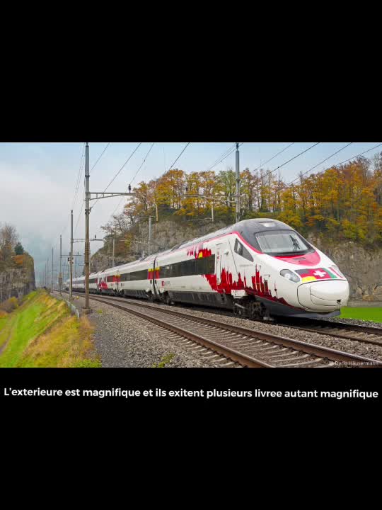 @Trainsuisse_ne Train