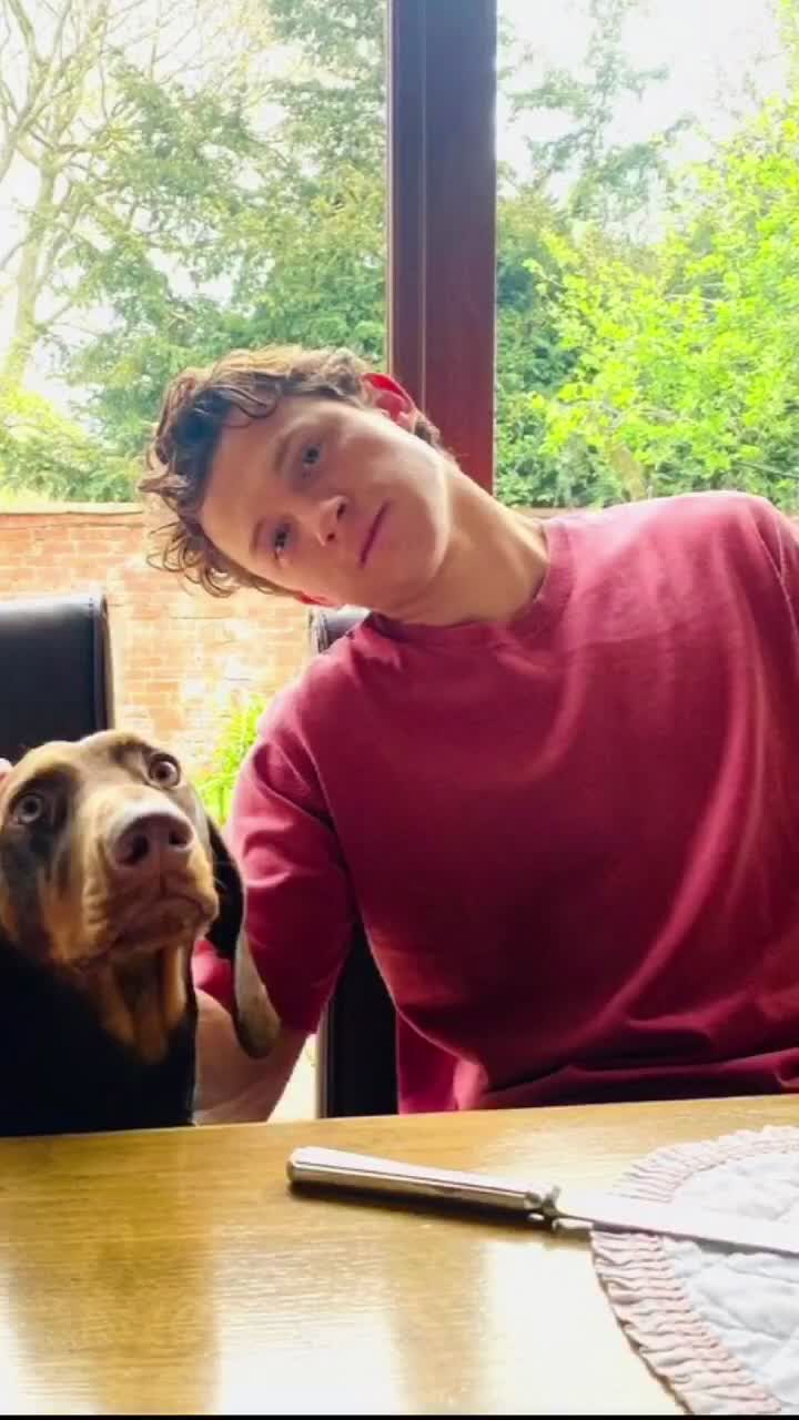 @✨Tom Holland✨❤️🥰