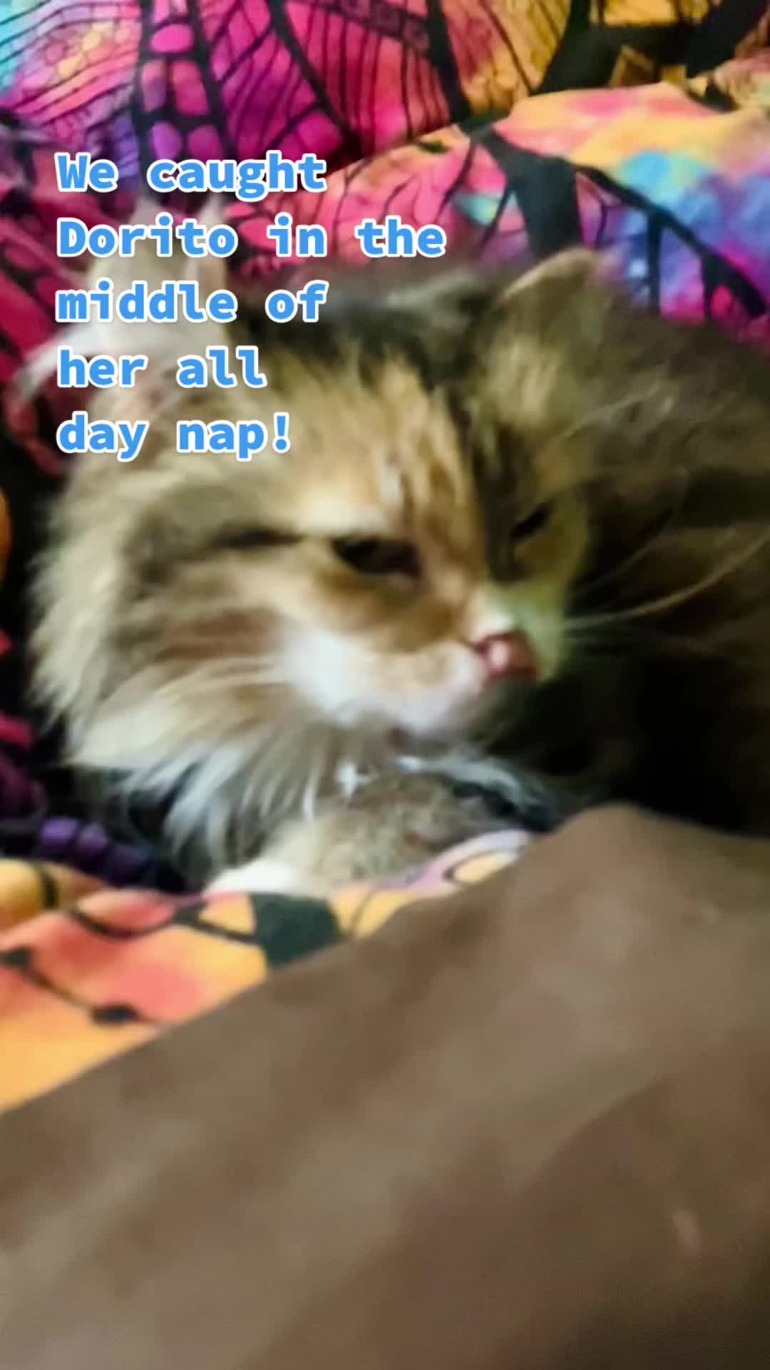 @QuibiDorito