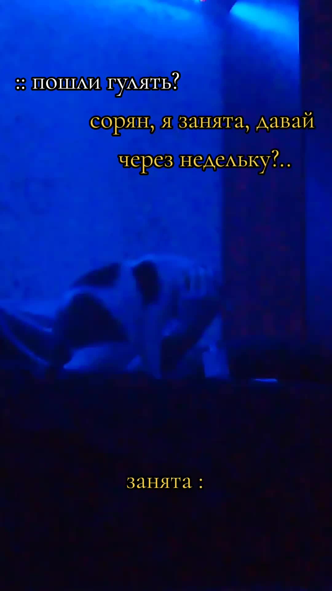 @монстр морфин