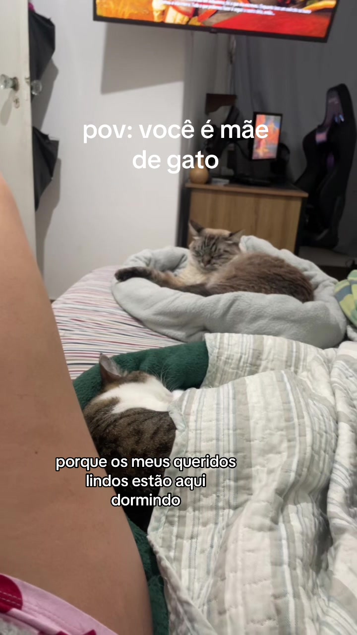 @Brisa&ensp;Maria&ensp;e&ensp;Antonio&ensp;Carlos