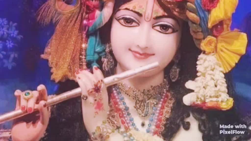 @meena rajpoot