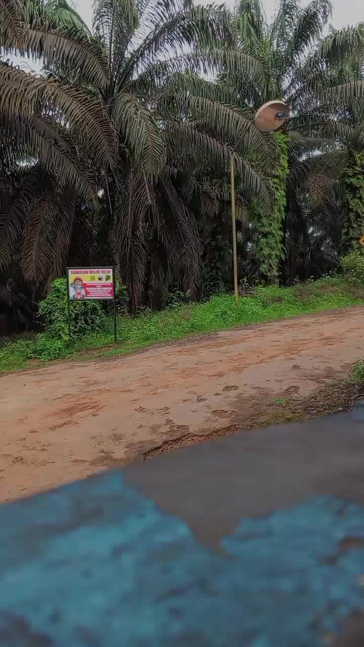 @Hardye🐊