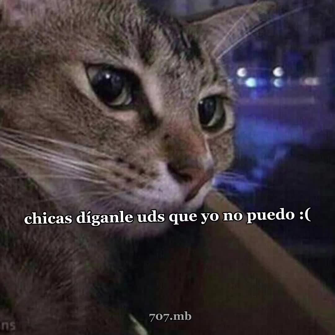 @🐹707🐹