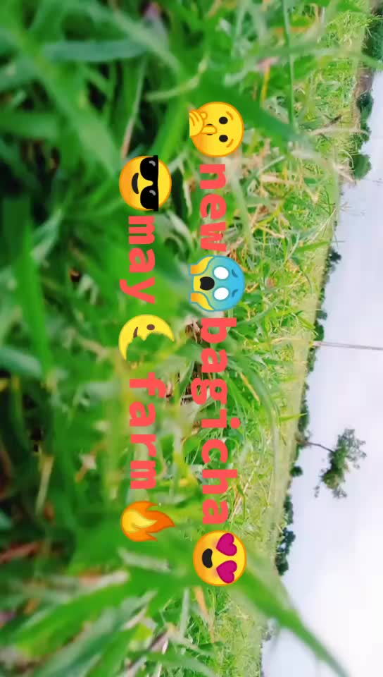 @Haresh Bhadaniya
