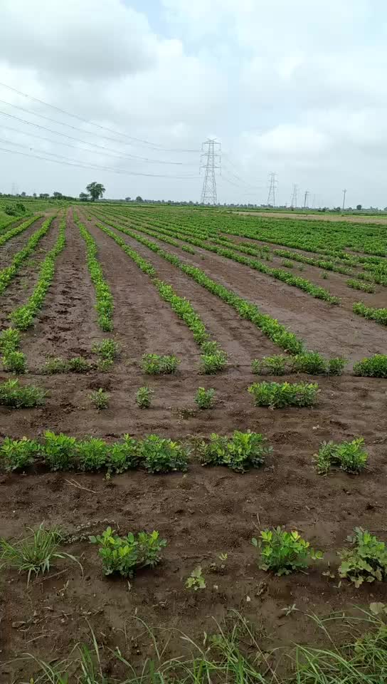 @Javid Khan Khoram