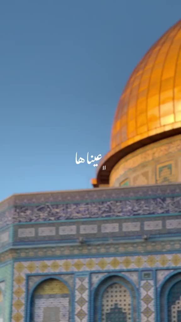 @Mustafa Abu Muhammad 🇱🇧