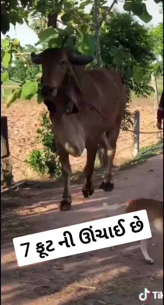 @KaNøØ_BHaRWaD_8699